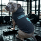 WAG Squad Hoodie